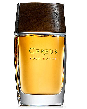 Cereus - Cereus No 7