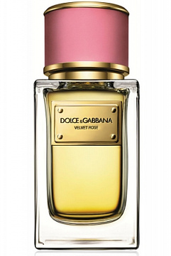 Dolce&Gabbana - Velvet Rose