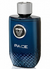 Jaguar - Pace