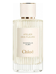 Chloe - Atelier Des Fleurs Magnolia Alba