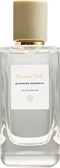 Massimo Dutti - Blooming Magnolia