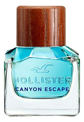 Hollister - Canyon Escape for Him