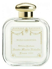Santa Maria Novella - Rosa Gardenia