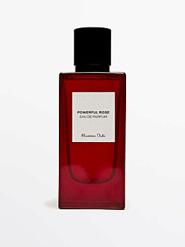 Massimo Dutti - Powerful Rose