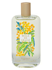 Fragonard - Belle de Grasse