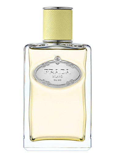 Prada - Infusion de Gingembre