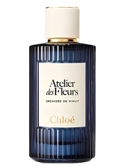 Chloe - Atelier Des Fleurs Orchidee de Minuit