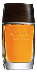 Cereus - Cereus No 14