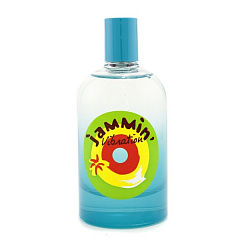 Reminiscence - Jammin