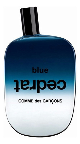 Comme des Garcons - Blue Cedrat