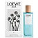 Agua de Loewe El (Туалетная вода 50 мл)