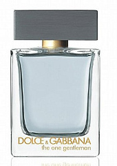 Dolce&Gabbana - The One Gentleman