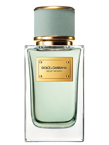 Dolce & Gabbana - Velvet Infusion