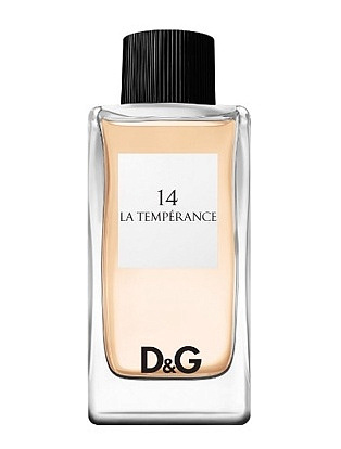 Dolce & Gabbana - 14 La Temperance