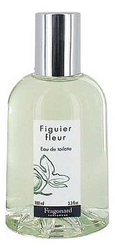 Fragonard - Figuier fleur