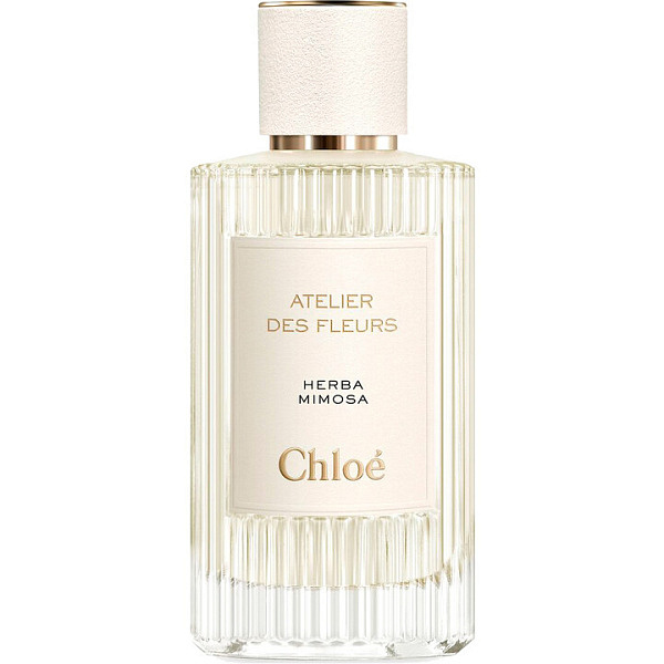 Chloe - Atelier Des Fleurs Verbena