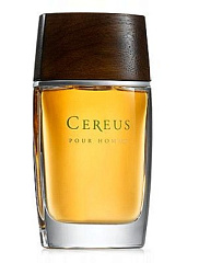 Cereus - Cereus No 11