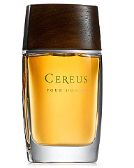 Cereus - Cereus No 7