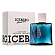 Iceberg Homme (Туалетная вода 100 мл)