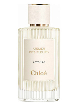 Chloe - Atelier Des Fleurs Lavanda