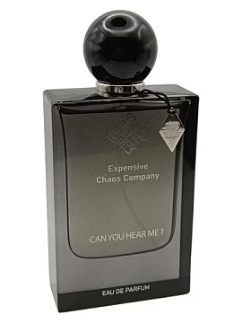 Expensive Chaos Company - Can You Hear Me?