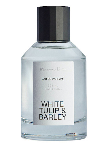 Massimo Dutti - White Tulip & Barley