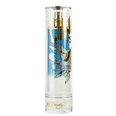 Christian Audigier - Ed Hardy True Till Die