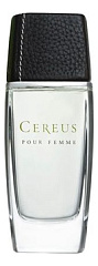 Cereus - Cereus No 12