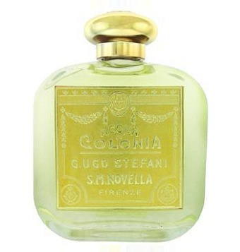 Santa Maria Novella - Gardenia