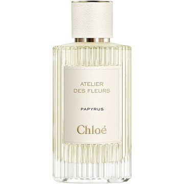 Chloe - Atelier Des Fleurs Papyrus