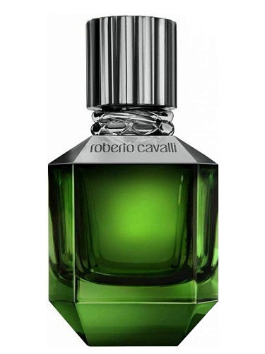 Roberto Cavalli - Paradise Found For Men