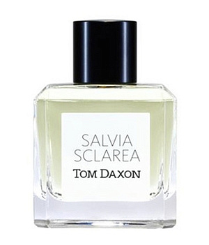 Tom Daxon - Salvia Sclarea