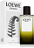 Esencia pour Homme Elixir (Парфюмерная вода 100 мл)