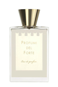 Profumi del Forte - Vetiver Moderno