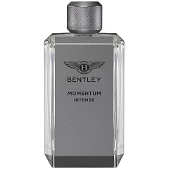 Bentley - Momentum Intense