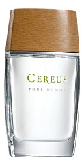 Cereus - Cereus No 4