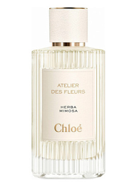 Chloe - Atelier Des Fleurs Herba Mimosa