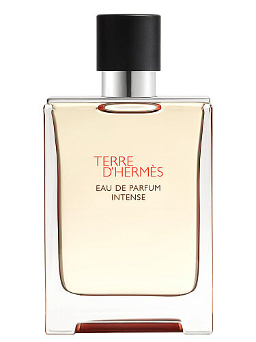 Hermes - Terre d'Hermes Eau de Parfum Intense