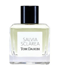 Tom Daxon - Salvia Sclarea