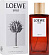 Solo Loewe Cedro (Туалетная вода 100 мл)