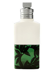 Dries Van Noten - Santal Greenery