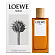 Solo Loewe (Туалетная вода 100 мл)