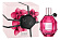 Flowerbomb Ruby Orchid (Парфюмерная вода 100 мл)