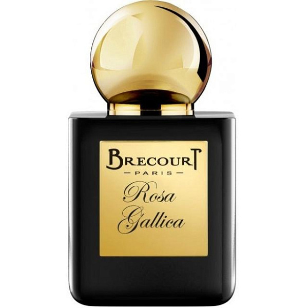 Brecourt - Rosa Gallica