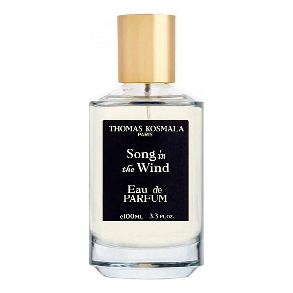 Thomas Kosmala - Song In The Wind