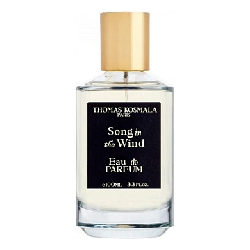 Thomas Kosmala - Song In The Wind