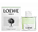 Solo Loewe Origami (Туалетная вода 100 мл)