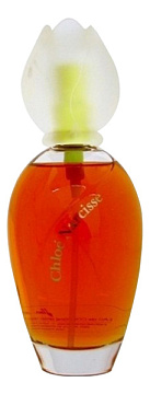 Chloe - Fleur de Narcisse