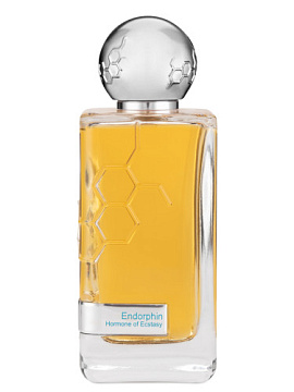 Hormone Paris - This Is Not Endorphin