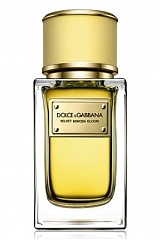 Dolce & Gabbana - Velvet Mimosa Bloom